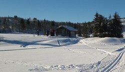 Fjellmyrskålin