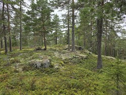 Stigertjernsåsen