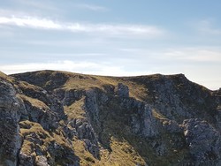 Breiviknupen
