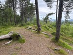 Kyrkjehaugen