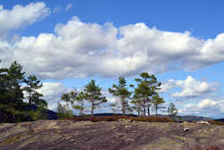 Øyfjellet