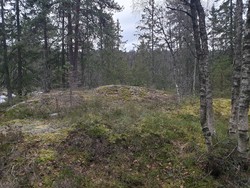 Furumokollen
