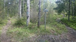 Vealoskryss østre vestre