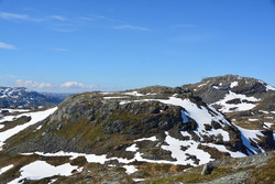 Kuskardnuten