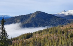 Hovdenuten