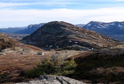 Skomakernatten