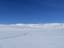 Skjevlfjellet Nordvest