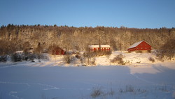 Korshylla