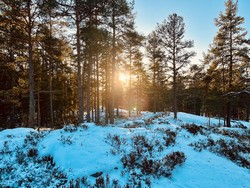 Gjersrudhøgda