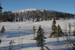 Vestre Metsjøfjellet