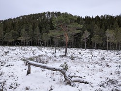 Helgefjellet