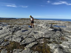 Langstrandheia