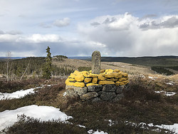 Riksrøys 93