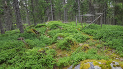 Sollihøgda punkt 664