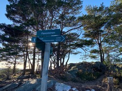Fløresteinen