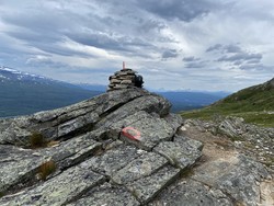 Blåbergenden