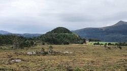 Rambjørhaugen