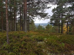 St. Hansberget