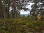 St. Hansberget