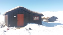 Leppehytta