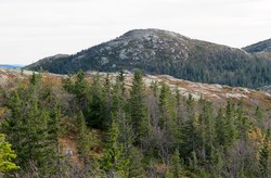 Sandvasskollen