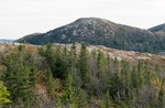 Sandvasskollen