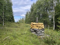 Riksrøys 86