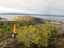 Ytterøytoppen