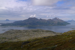 Tinden