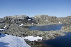 Stednesnuten