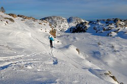 Skårfjellet øst