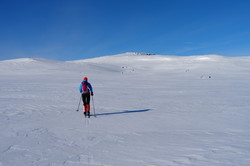 Svarthammaren