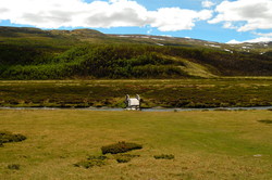 Gravhøe