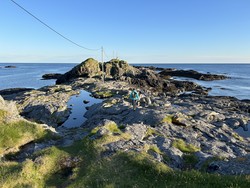 Kvalnesodden