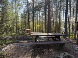 Eventyrstien rasteplass