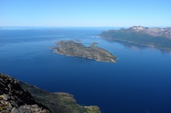 Grønlikollen