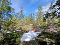 Middagskollen