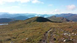 Vardtua