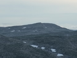 Ratevassnuten