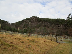 Foreåsen