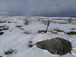 Storhaug