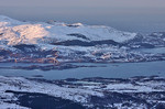 Leinebjørnen