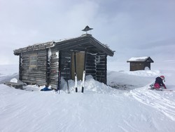 Gjetarbue