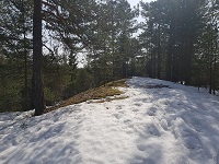 Rundtjernhaugen