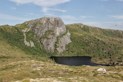 Svarthamarn