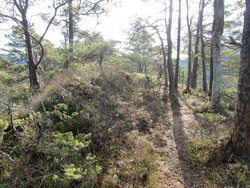 Sporfjellet
