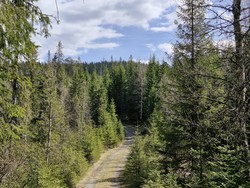 Ålsjøbrenna