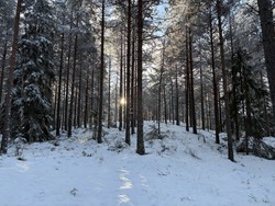 Sæterhøgda
