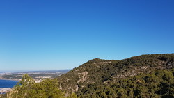 El Picorb