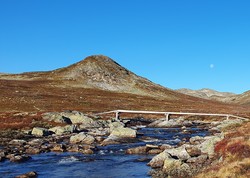 Vesle Syningen